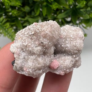 Beautiful Rhodochrosite on Quartz,pink minerals,Starnica Mine,Davidcovo,Bulgaria natural minerals,collection crystal,gift home decor,collec