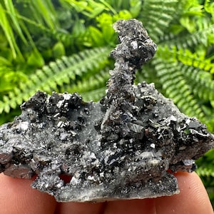 Wonderful Galena,pyrite,Sphalerite on Quartz,natural minerals souv Crystal,home decor stone,collection minerals,Borieva mine,Bulgaria