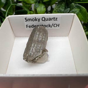 Raro quarzo fumé di Fedenstock (montagna) Svizzera, Minerale, Esemplare, Collezione, Quarzo nero, Minerale, Casa, Quarzo fumé, Punta di quarzo