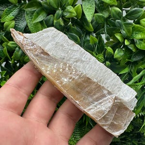 TOP QUALITY! Golden Phantom Selenite Slabs. Fishtail Selenite. Utah Raw Golden Selenite Slab / Wands. Utah Selenite. Sheet Selenite. Gift