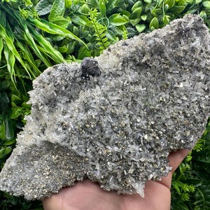 Wonderful Sphalerite on Quartz whit Pyrite,natural minerals souvenir crystal home decor stone,gift minerals,Borieva mine,Bulgaria,collection