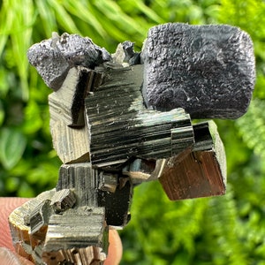 Incredible Shiny Galena on golden Pyrite natural minerals souvenir crystal home decor stone collection minerals Borieva mine Bulgaria