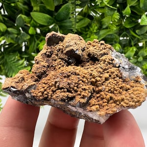 Transparent Quartz whit Sphalerite,Siderite Djurcovo Laki Bulgaria natural minerals souvenir crystal stone gift minerals collection rock