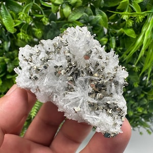 Stunning Quartz whit Pyrite and Galena,from Krushev dol mine,Bulgaria,natural minerals,souvenir crystal,home decor stone,rare minerals,gift