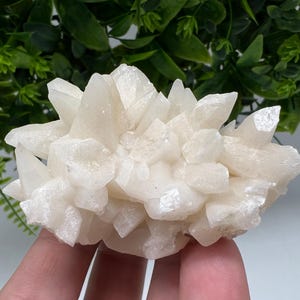 Amazing Calcite on Quartz from Djurcovo mine Laki Bulgaria natural minerals crystal gift rare minerals healing crystal Bulgaria stone
