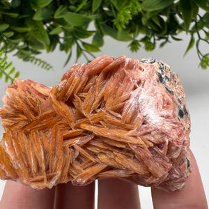 Wunderbarer Baryt mit Cerussit auf Galena aus Marokko, Bleikristall, Bleikristall,Cerussit Kristall,Kristalle, Bleikristall,