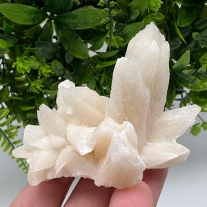 Amazing Calcite on Quartz from Djurcovo mine Laki Bulgaria natural minerals crystal gift rare minerals healing crystal Bulgaria stone