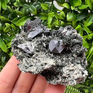 Aesthetic Sphalerite,Galena whit Chlorite from Borieva mine Madan Bulgaria natural minerals souvenir crystal gift home decor stone rock