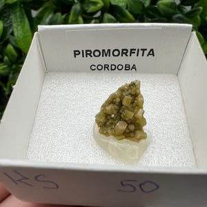 Pyromorphite Stone / Pyromorphite on Matrix / Pyromorphite Crystal / Raw Crystal / Pyromorphite Cluster / Rough Pyromorphite / Pyromorphite