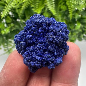 May include: A close-up of a vibrant blue azurite mineral specimen. The mineral has a textured, crystalline surface with a deep, rich colour. The background features green foliage, enhancing the blue hue of the mineral.