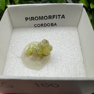 Pyromorphite Stone / Pyromorphite on Matrix / Pyromorphite Crystal / Raw Crystal / Pyromorphite Cluster / Rough Pyromorphite / Pyromorphite