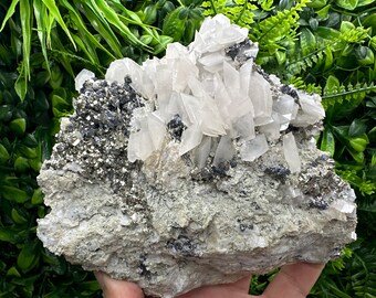 May include: A large, rough, gray rock with a cluster of white calcite crystals and black pyrite crystals.