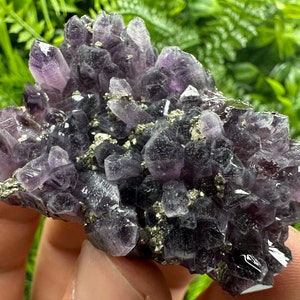 Amazing Quartz var. Amethyst deep purple colour whit Pyrite 100%natural minerals souvenir crystal rare Amethyst famous Chala mine Bulgaria