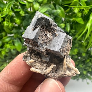 Incredible Skeleton Galena,natural galena,rare Galena cluster,rare morphology Galena,minerals,crystal,souvenir 9th September mine Bulgaria