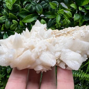 Amazing Calcite on Quartz from Djurcovo mine Laki Bulgaria natural minerals crystal gift rare minerals healing crystal Bulgaria stone