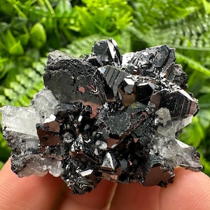 Wonderful Sphalerite on Quartz,From Borieva mine,Bulgaria,natural mineral,collection crystal,home decor stone,rare cluster,gift,souvenir
