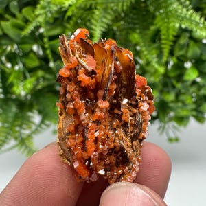 Red Vanadinite on Barite from Marocco,crystal minerals Speciment cluster Vanadinite crystal Vanadinite Geology Vanadinite cluster minerals