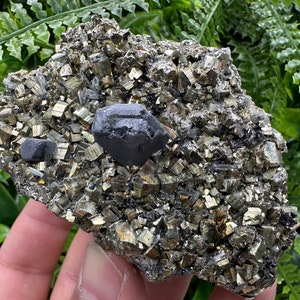 Wonderful Shiny Galena on Pyrite natural minerals souvenir crystal gift collection home decor stone , rare minerals Borieva Bulgaria