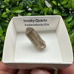 Raro quarzo fumé di Fedenstock (montagna) Svizzera, Minerale, Esemplare, Collezione, Quarzo nero, Minerale, Casa, Quarzo fumé, Punta di quarzo