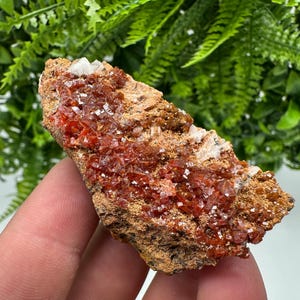 Red Vanadinite on Barite from Marocco,crystal minerals Speciment cluster Vanadinite crystal Vanadinite Geology Vanadinite cluster minerals
