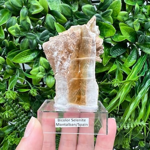 TOP QUALITY! Golden Phantom Selenite Slabs. Fishtail Selenite. Utah Raw Golden Selenite Slab / Wands. Utah Selenite. Sheet Selenite. Gift