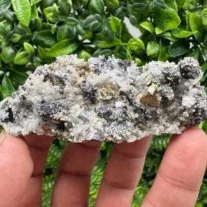 Wonderful Chalcopyrite Galena on Quartz whit Chlorite natural minerals souvenir crystal gift home decor stone Borieva mine Madan Bulgaria