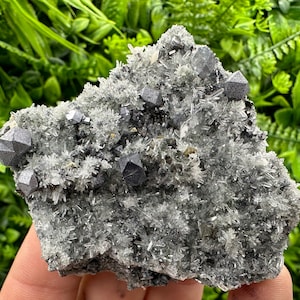 Wonderful aShiny Galena on Quartz whit Pyrite,Natural minerals souvenir Crystal home decor stone,Gift minerals,collection,Borieva Bulgaria