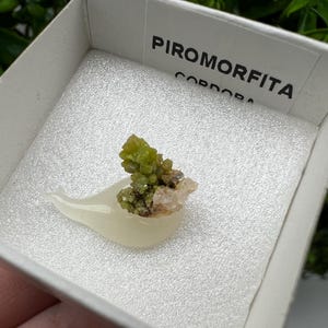 Pyromorphite Stone / Pyromorphite on Matrix / Pyromorphite Crystal / Raw Crystal / Pyromorphite Cluster / Rough Pyromorphite / Pyromorphite