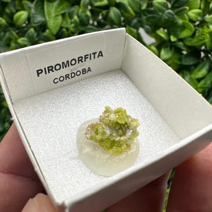 Pyromorphite Stone / Pyromorphite on Matrix / Pyromorphite Crystal / Raw Crystal / Pyromorphite Cluster / Rough Pyromorphite / Pyromorphite