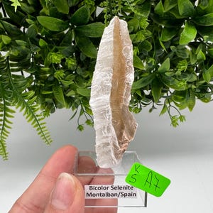TOP QUALITY! Golden Phantom Selenite Slabs. Fishtail Selenite. Utah Raw Golden Selenite Slab / Wands. Utah Selenite. Sheet Selenite. Gift