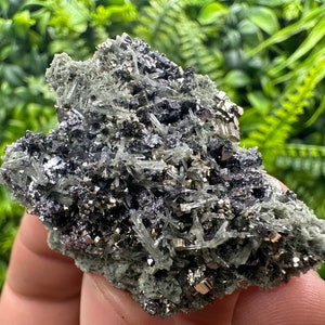 Stunning small shiny Galena whit Pyrite and Sphalerite on green Quartz from Borieva mine Madan Bulgaria natural minerals souvenir crystal
