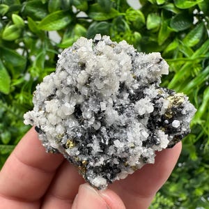 Wonderful Chalcopyrite Galena on Quartz whit Chlorite natural minerals souvenir crystal gift home decor stone Borieva mine Madan Bulgaria