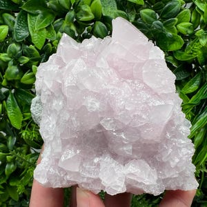 Peut inclure: Une grande grappe de cristal de sélénite rose avec une surface rugueuse et texturée. Le cristal est translucide et a une apparence délicate et éthérée.