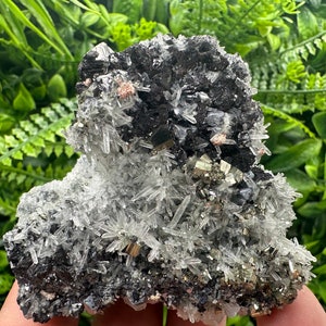 Wonderful Sphalerite,Galena,Pyrite on Quartz,natural mineral,souvenir,crystal,collection stone,rare mineral,home decor,Borieva mine,Bulgaria