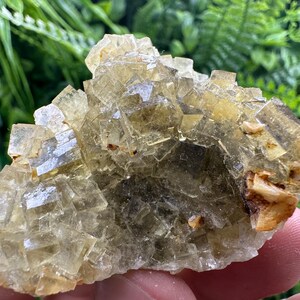 Yellow Fluorite from Spain,Mineral Specimen,Yellow Fluorite,Fluorite from Spain,Collection, Fluorite Collectors, Crystal Fluorite,
