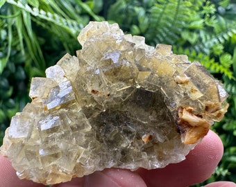 Gelber Fluorit aus Spanien, Mineralprobe, gelber Fluorit, Fluorit aus Spanien, Sammlung, Fluoritsammler, Kristallfluorit,