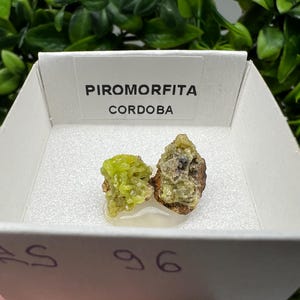 Pyromorphite Stone / Pyromorphite on Matrix / Pyromorphite Crystal / Raw Crystal / Pyromorphite Cluster / Rough Pyromorphite / Pyromorphite