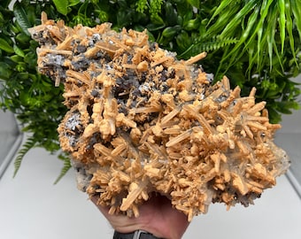 Collezione GALENA scheletrica su quarzo trasparente con calcite marrone, campione minerale naturale da collezione, pietra per arredamento, regalo, collezione