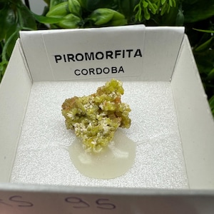 Pyromorphite Stone / Pyromorphite on Matrix / Pyromorphite Crystal / Raw Crystal / Pyromorphite Cluster / Rough Pyromorphite / Pyromorphite
