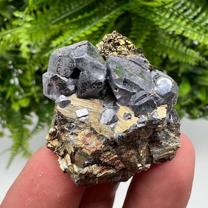 Wonderful shiny Galena on Pyrite natural minerals souvenir crystal gift collection home decor stone Borieva mine Madan Bulgaria natural ston