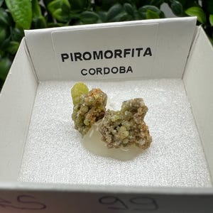 Pyromorphite Stone / Pyromorphite on Matrix / Pyromorphite Crystal / Raw Crystal / Pyromorphite Cluster / Rough Pyromorphite / Pyromorphite