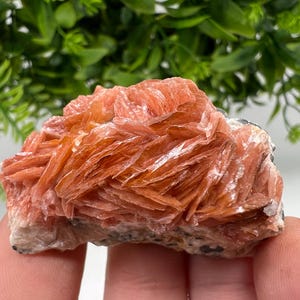 Wunderbarer Baryt mit Cerussit auf Galena aus Marokko, Bleikristall, Bleikristall,Cerussit Kristall,Kristalle, Bleikristall,