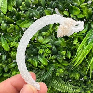 Può includere: Una formazione cristallina bianca curva con una superficie strutturata e un gruppo di cristalli più piccoli a un'estremità. Il cristallo è tenuto contro uno sfondo di fogliame verde.
