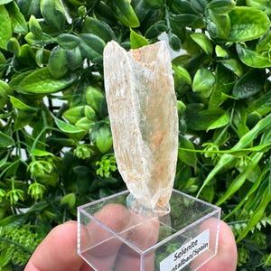 TOP QUALITY! Golden Phantom Selenite Slabs. Fishtail Selenite. Utah Raw Golden Selenite Slab / Wands. Utah Selenite. Sheet Selenite. Gift