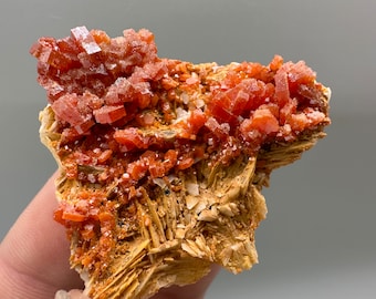 Red Vanadinite on Matrix from Marocco,crystal minerals Speciment cluster Vanadinite crystal Vanadinite Geology Vanadinite cluster minerals