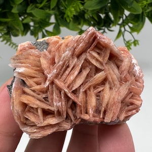 Wonderful Baryte with Cerussite on Galena from Morocco,Crystal, Mineral,Specimen,Cluster,Crystals,Barite Crystal,Cerussite Crystal,Specimen