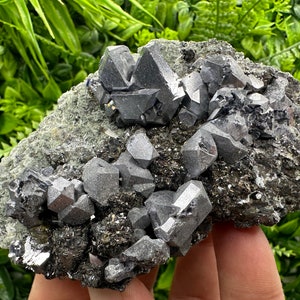 Wonderful shiny Galena whit Sphalerite on needle Quartz,From Borieva mine,Bulgaria,natural minerals,souvenir crystal,collection stone,gift