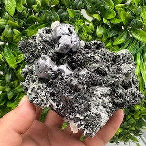 Wonderful Galena,Sphalerite,Calcite on Quartz,natural minerals souvenir crystal gift home decor stone,collection stone Borieva mine Bulgaria