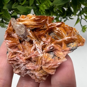 Wunderbarer Baryt mit Cerussit auf Galena aus Marokko, Bleikristall, Bleikristall,Cerussit Kristall,Kristalle, Bleikristall,