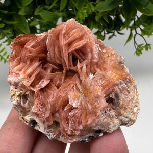 Wunderbarer Baryt mit Cerussit auf Galena aus Marokko, Bleikristall, Bleikristall,Cerussit Kristall,Kristalle, Bleikristall,